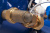 Cчетчик холодной воды комбинированный Groen DUAL (BYi) ДУ50/20, с импульсным выходом в Казахстане