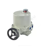 Без названия (1)