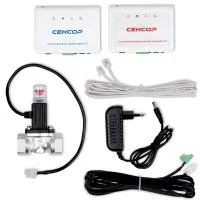 АСКЗ_20_Китай__СЕНСОР_