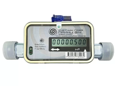 Счетчик газа ультразвуковой РаДан «Принц» G4 в 