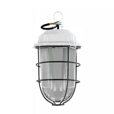 Светодиодная лампа Желудь-15 Эко с защитной решеткой 6500K в 