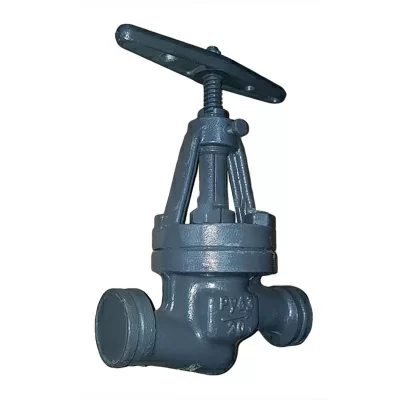 Клапан запорный проходной 15с52нж Ду15 в 