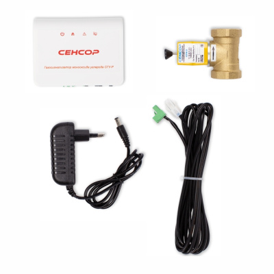 Сигнализатор загазованности Сенсор СГУ-Р (СО) с латунным клапаном КЗГИ-25 в  Сигнализатор загазованности Сенсор СГУ-Р (СО) с латунным клапаном КЗГИ-25 в