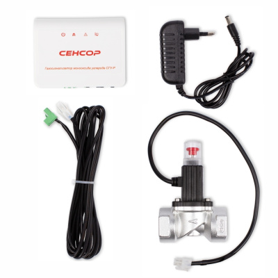 Сигнализатор загазованности Сенсор СГУ-Р (СО) с алюминиевым клапаном КЗГИал-25 в  Сигнализатор загазованности Сенсор СГУ-Р (СО) с алюминиевым клапаном КЗГИал-25 в