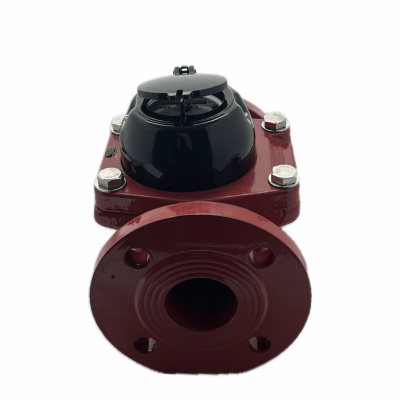 Счетчик воды универсальный Росконтроль СВ-50В, фланцевый в  Счетчик воды универсальный Росконтроль СВ-50В, фланцевый в